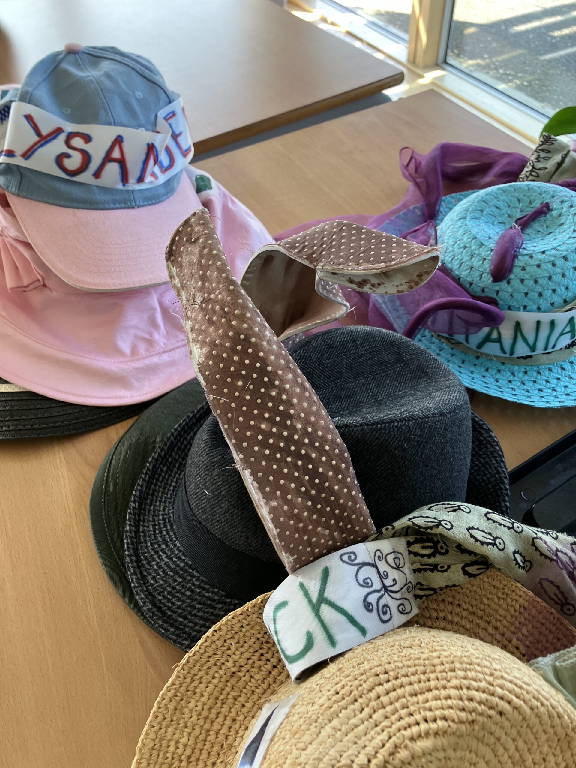 A selection of character hats for A Midsummer Night’s Dream. A light blue cap saying Lysander on top of a pink brimmed Hermia hat. A bright blue brimmed Titania hat, a scarf headband saying Puck, a brown brimmed hat with donkey ears,.